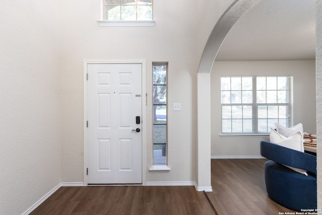 foyer featuring plenty of natural light and dark hardwood / wood-style floors