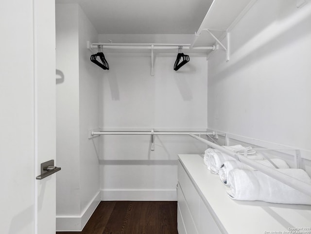 spacious closet featuring dark wood-type flooring