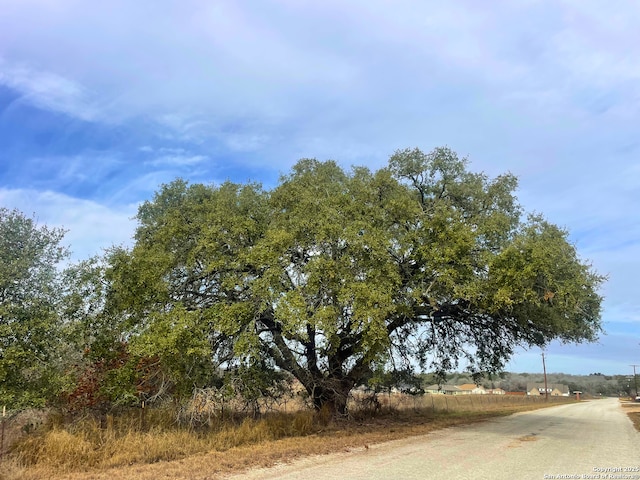 Listing photo 3 for 550 Schuettig Rd, Poteet TX 78065