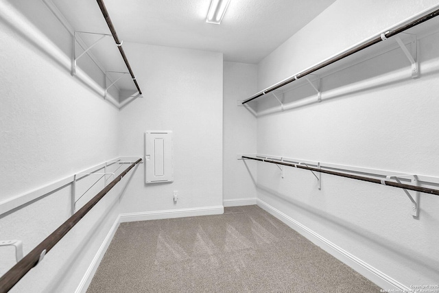 spacious closet with carpet flooring