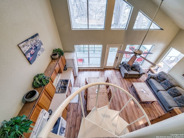 living room with a skylight, a wealth of natural light, light hardwood / wood-style floors, and a high ceiling