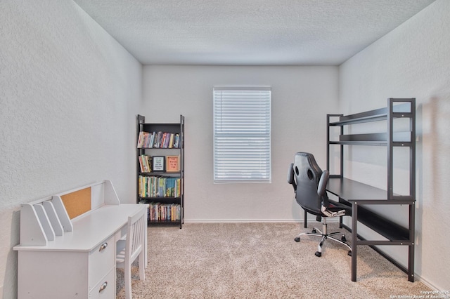 carpeted office space with a textured ceiling