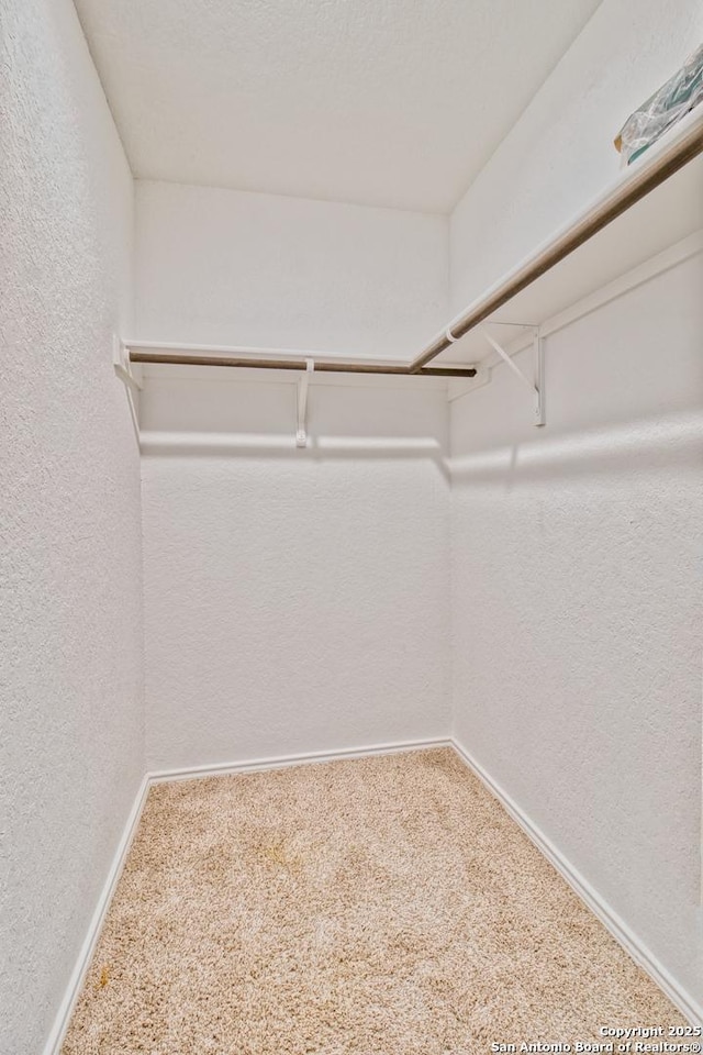 spacious closet with carpet flooring