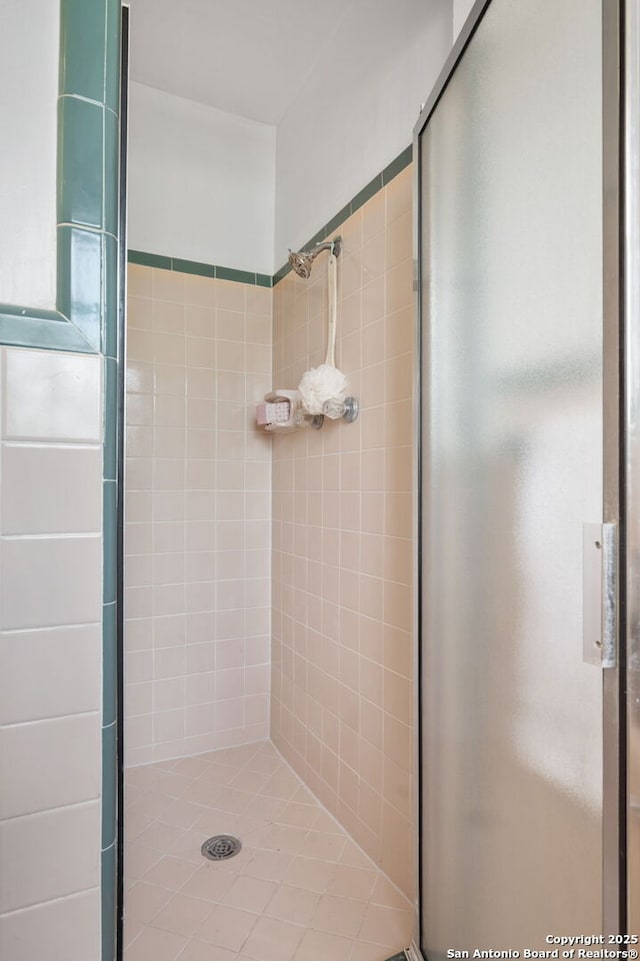 bathroom featuring a shower with door