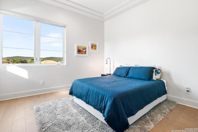 bedroom featuring light hardwood / wood-style flooring