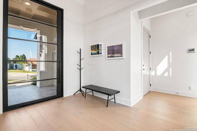 interior space featuring light hardwood / wood-style flooring