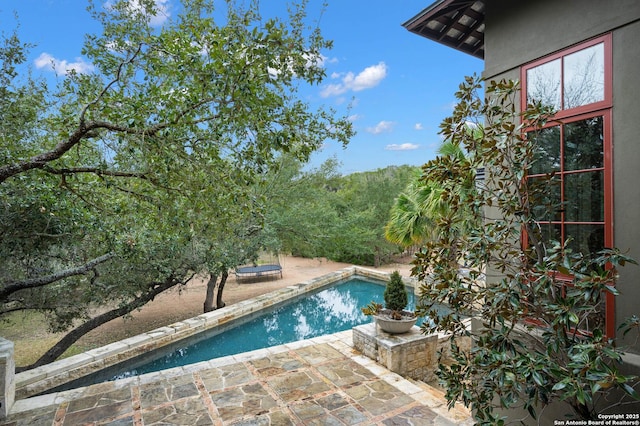 view of pool with a trampoline