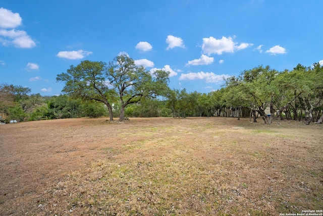 view of yard with a rural view