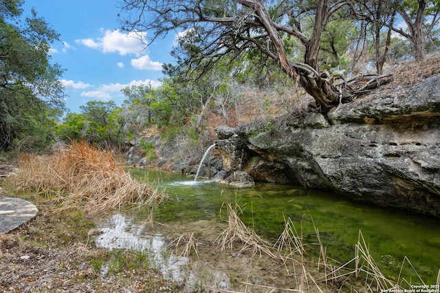 view of nature