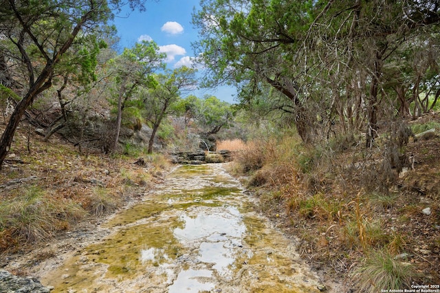 view of nature