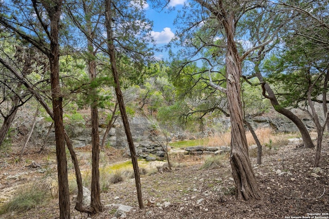 view of landscape