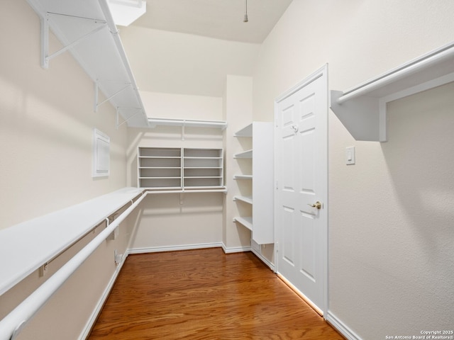 spacious closet featuring hardwood / wood-style flooring