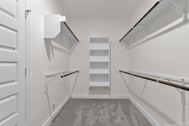 spacious closet with light colored carpet