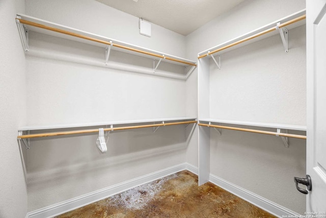 view of spacious closet