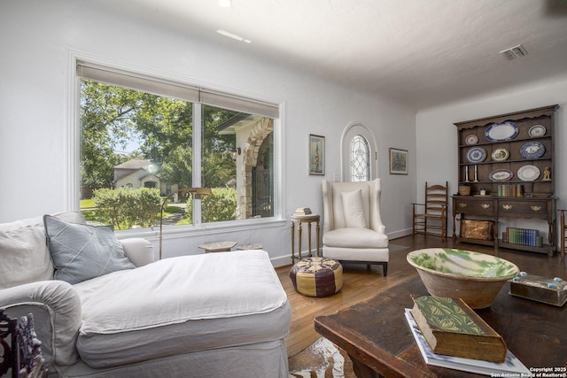 living room with hardwood / wood-style floors