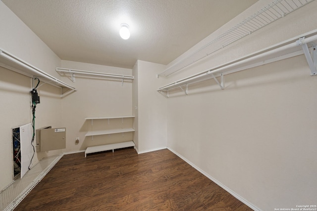 walk in closet with dark hardwood / wood-style flooring