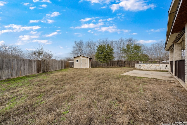 view of yard with a patio and a storage shed