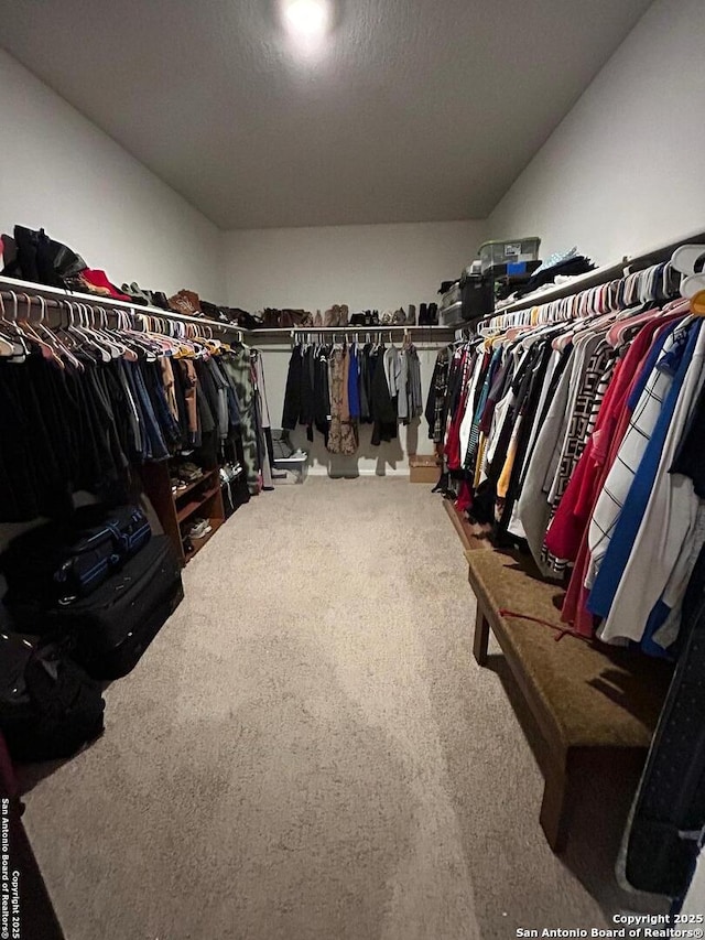 walk in closet featuring carpet