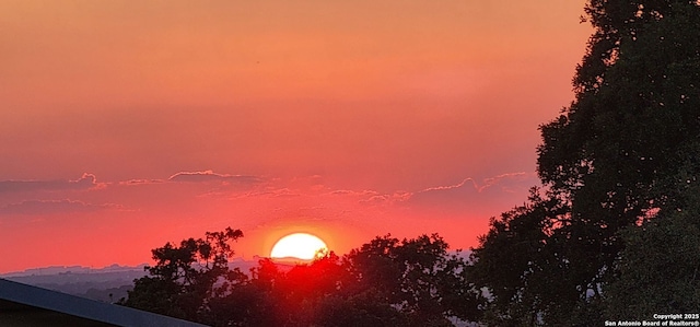 view of nature at dusk