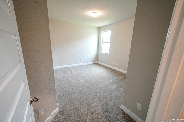 unfurnished room with carpet flooring