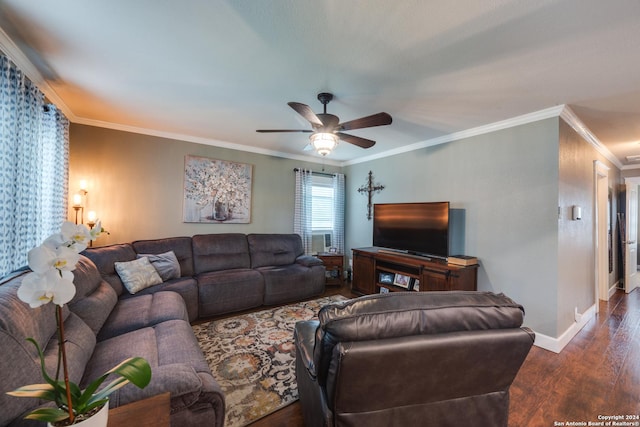 living room with crown molding, ceiling fan, and dark hardwood / wood-style flooring