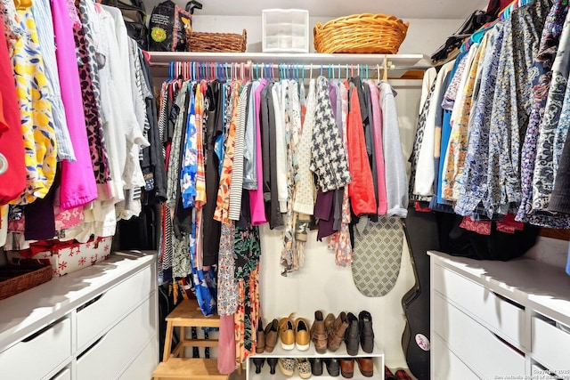 view of walk in closet