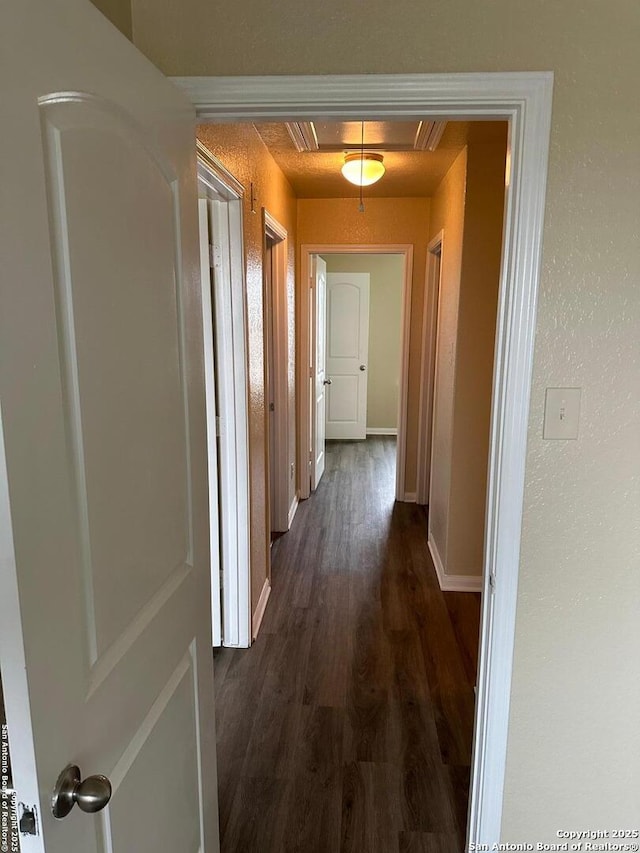 corridor with dark hardwood / wood-style floors