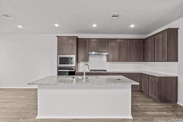 2439 Tinkerton, San Antonio, TX 78245 - kitchen featuring appliances with stainless steel finishes, under cabinet range hood, a sink, light wood-style floors, and light stone counters