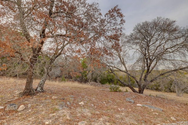 view of landscape