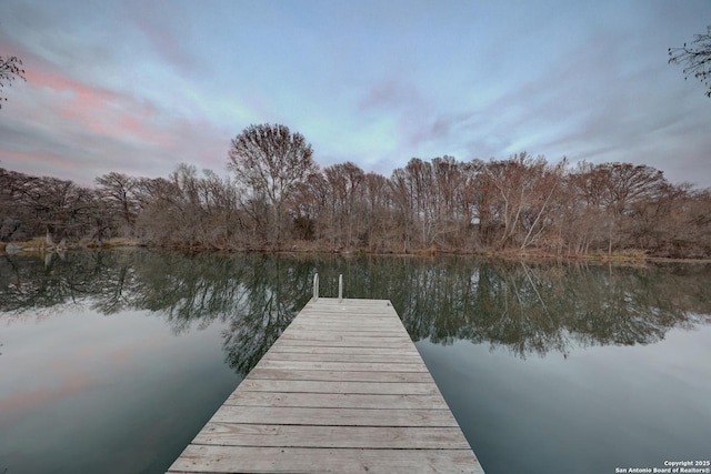 dock area featuring a water view