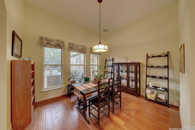 dining room featuring wood-type flooring