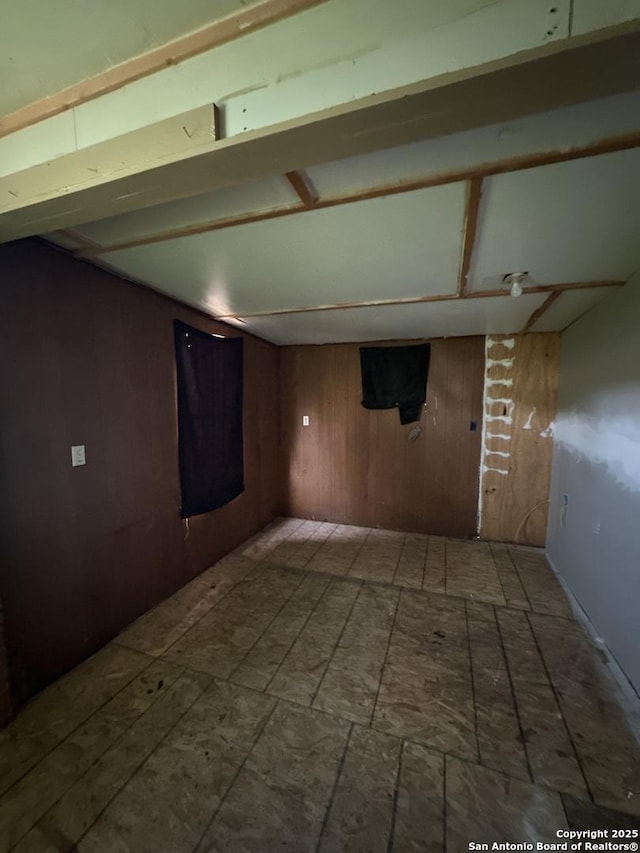 basement with wooden walls