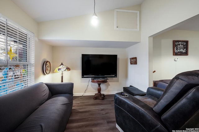 living room with lofted ceiling and wood-type flooring