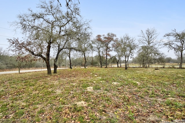 view of yard featuring a rural view