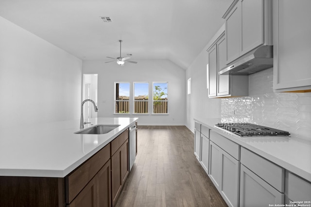 312 Hulda Trl, New Braunfels, TX 78130 - kitchen with a sink, stainless steel appliances, under cabinet range hood, light countertops, and tasteful backsplash