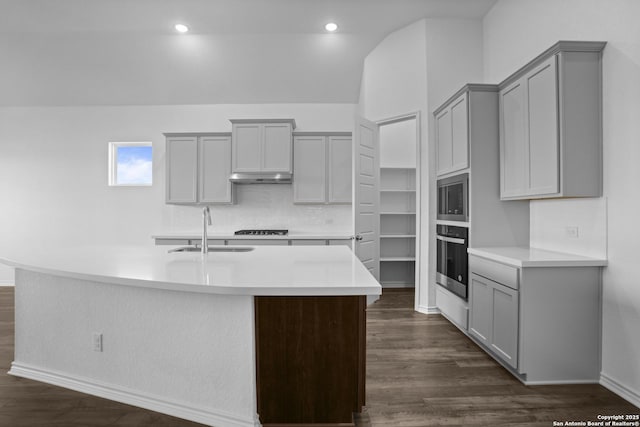312 Hulda Trl, New Braunfels, TX 78130 - kitchen featuring stainless steel appliances, gray cabinetry, a sink, under cabinet range hood, and light countertops