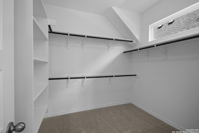312 Hulda Trl, New Braunfels, TX 78130 - spacious closet featuring carpet