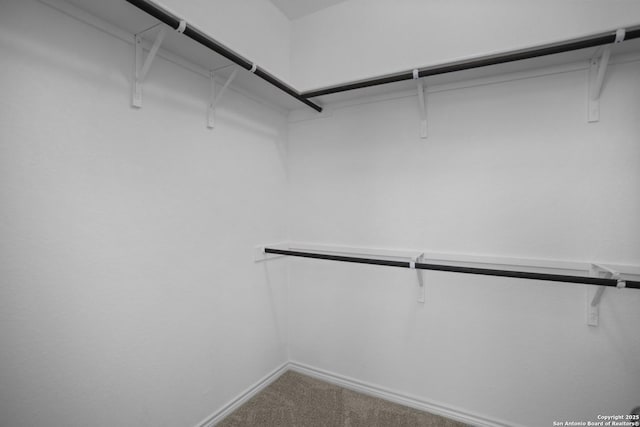312 Hulda Trl, New Braunfels, TX 78130 - walk in closet featuring carpet floors