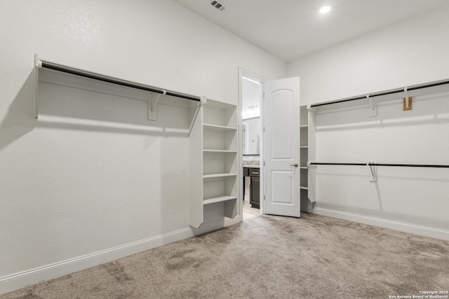 spacious closet featuring carpet floors