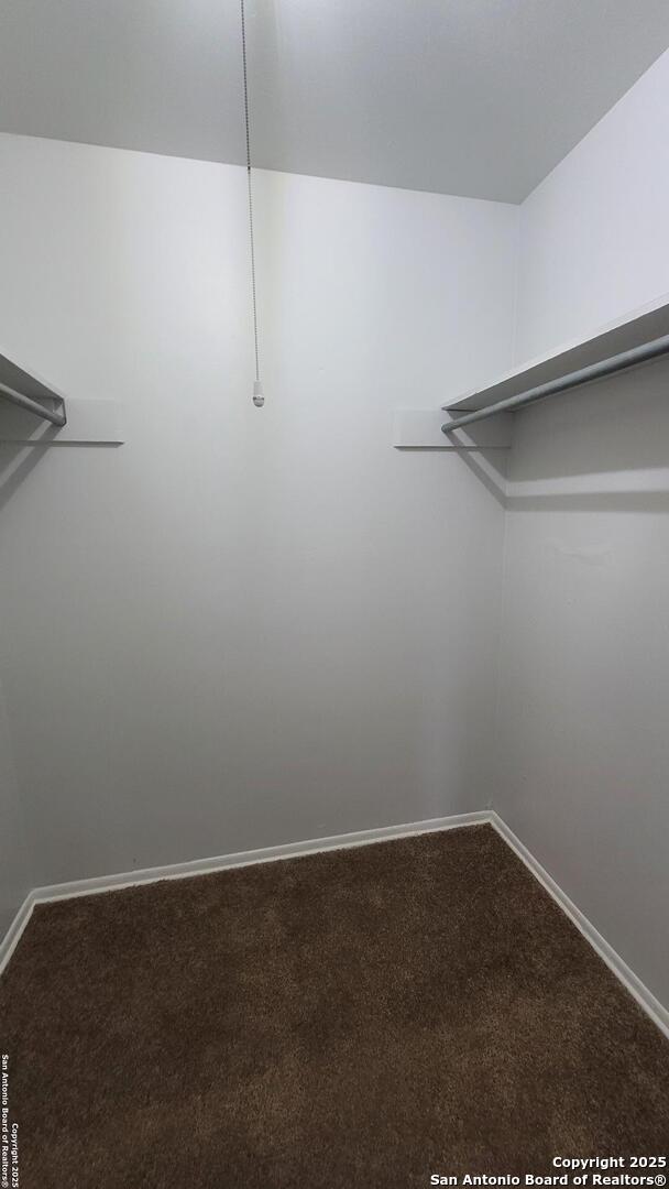 spacious closet featuring carpet flooring