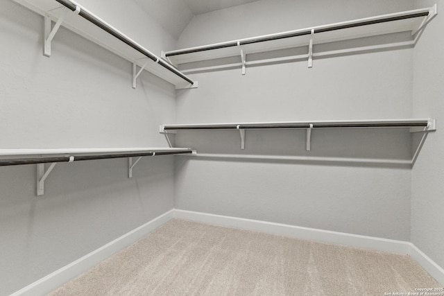 spacious closet with carpet