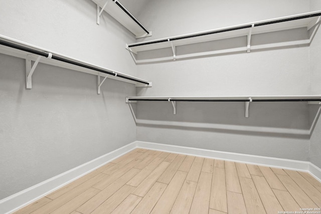 walk in closet featuring hardwood / wood-style flooring