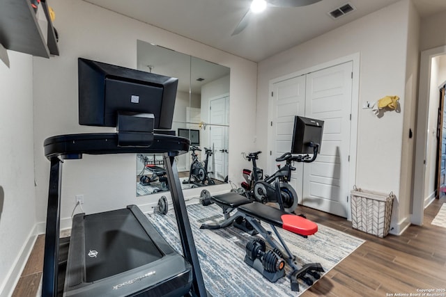 exercise room featuring ceiling fan and dark hardwood / wood-style flooring