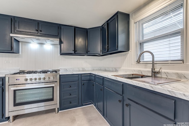 kitchen with stainless steel range with gas cooktop and sink