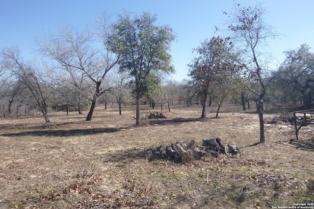 view of yard featuring a rural view