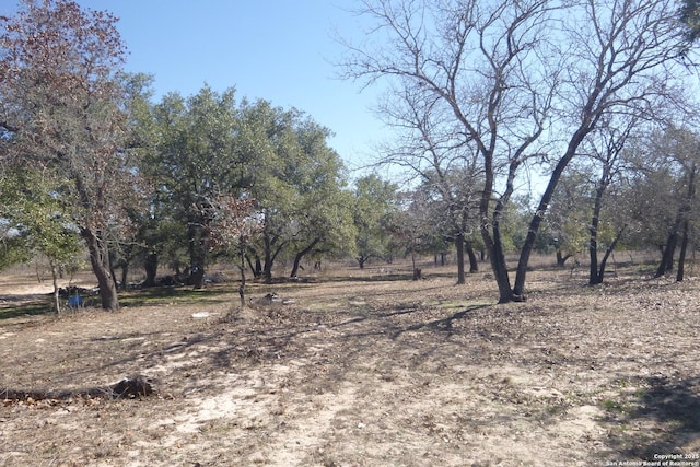 view of local wilderness