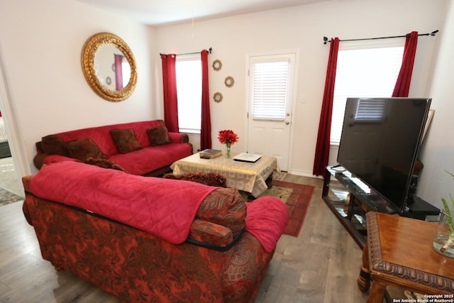 living room with hardwood / wood-style floors