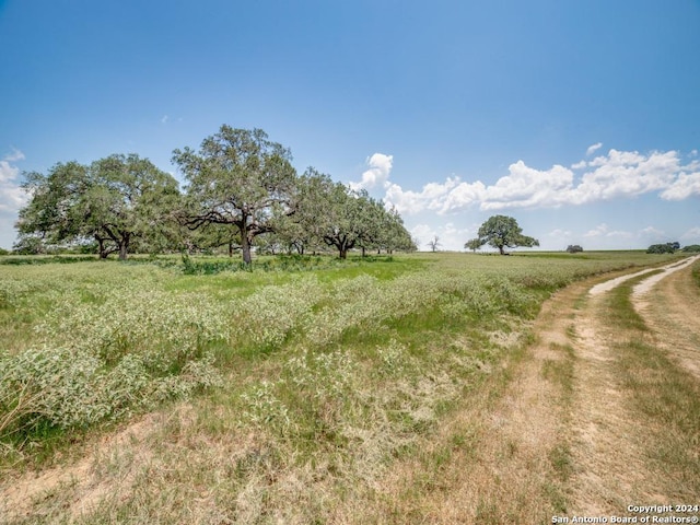 view of nature with a rural view