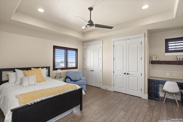 bedroom with multiple windows, hardwood / wood-style floors, two closets, and a raised ceiling