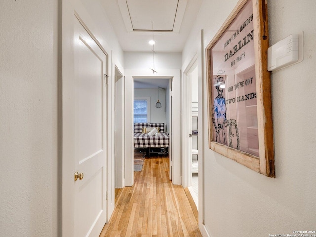 337 W Hackberry St, Fredericksburg, TX 78624 - hallway featuring light wood-type flooring